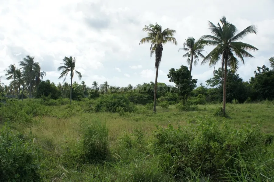 Land near Crocodile Farm photo 11