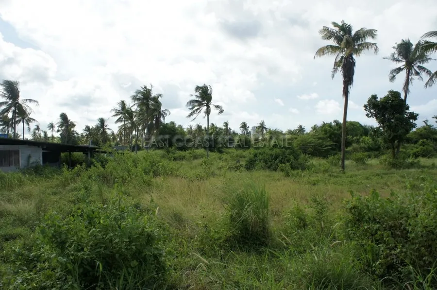 Land near Crocodile Farm photo 10
