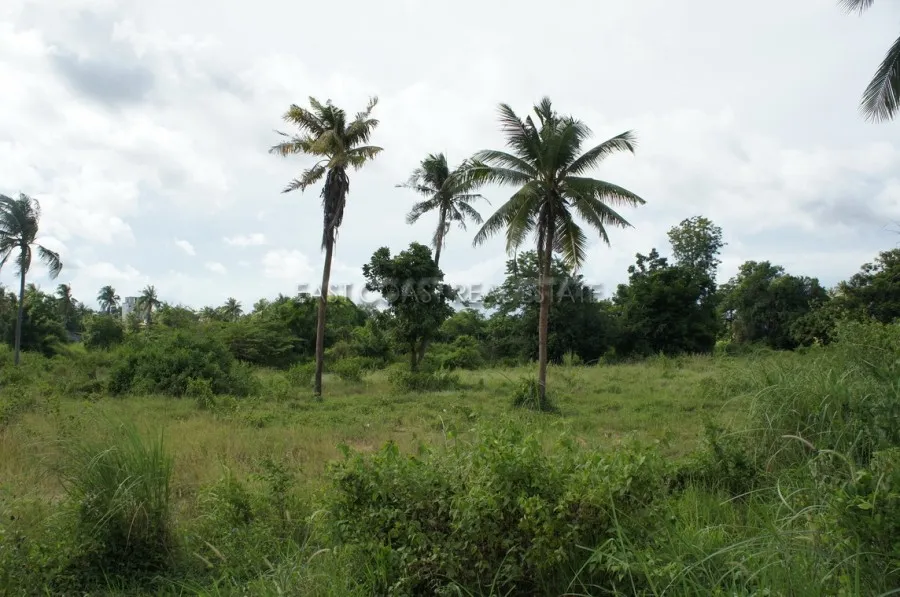 Land near Crocodile Farm photo 9