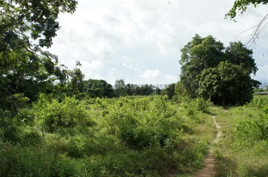 Land near Crocodile Farm photo 6