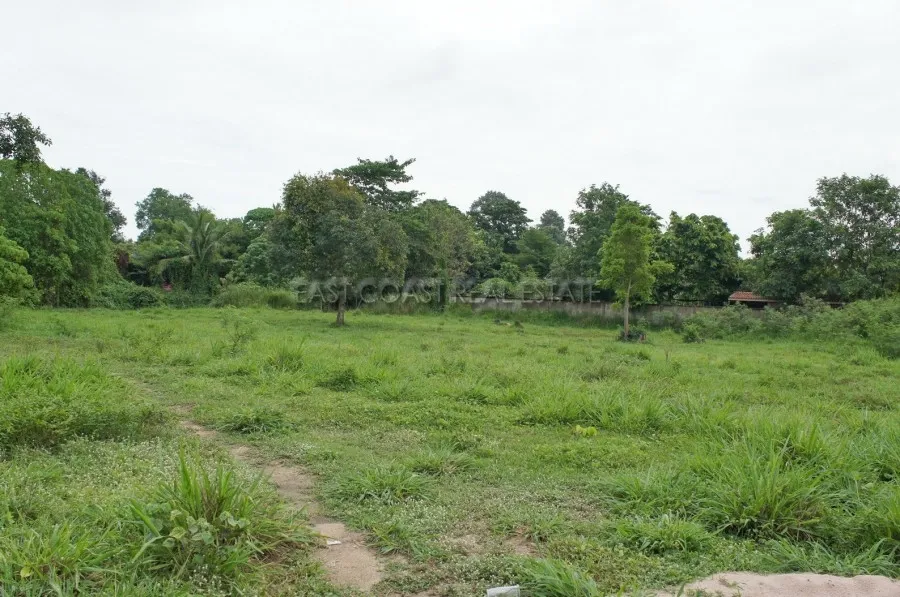 Land Baan Amphur photo 13