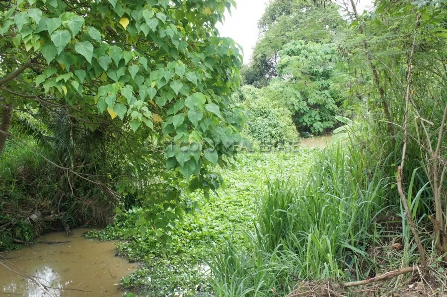 Land Baan Amphur photo 12