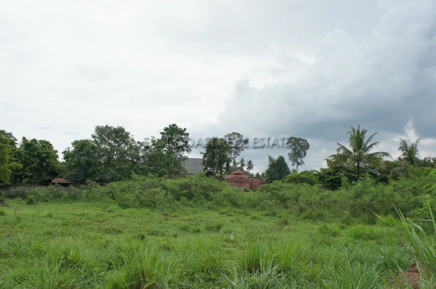 Land Baan Amphur photo 3
