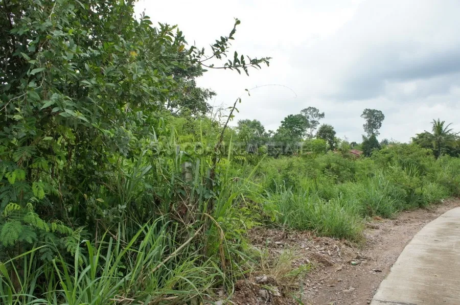 Land Baan Amphur photo 9