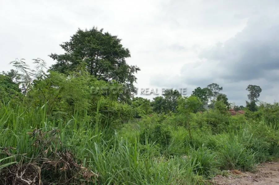 Land Baan Amphur photo 7