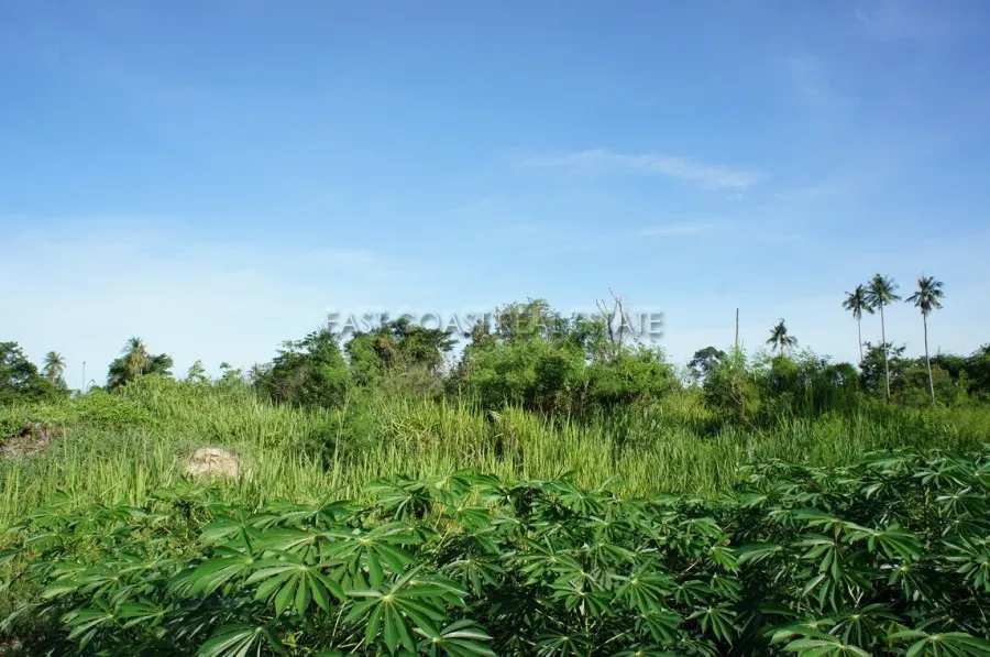 5 Rai land plot in Bang Saray photo 7