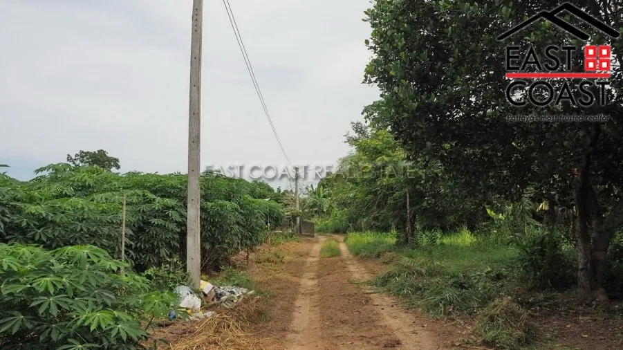 Land Baan Amphur photo 13