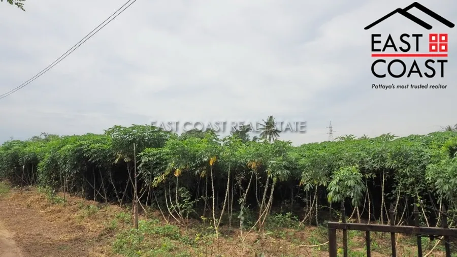 Land Baan Amphur