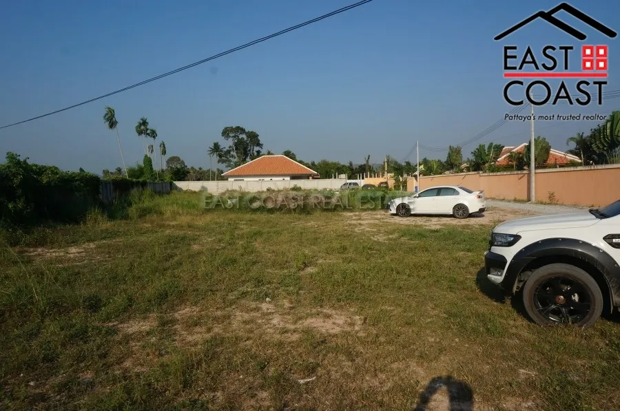 Pong Land photo 6