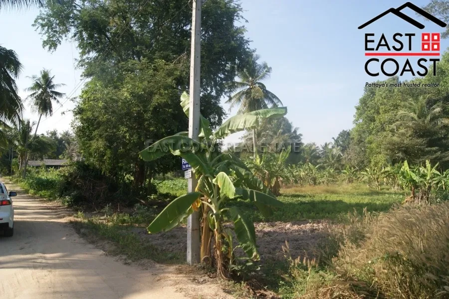 Takien Tia photo 9