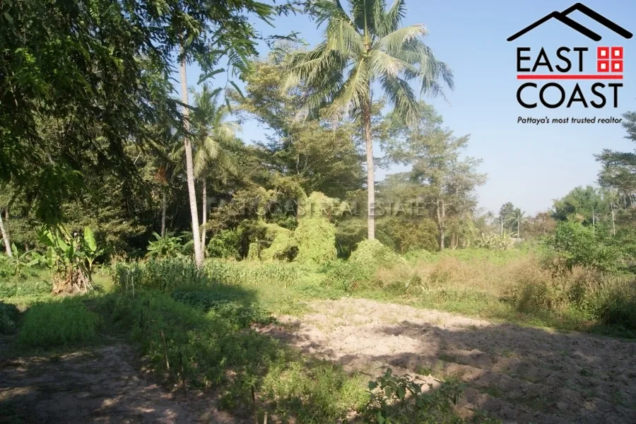 Takien Tia photo 8