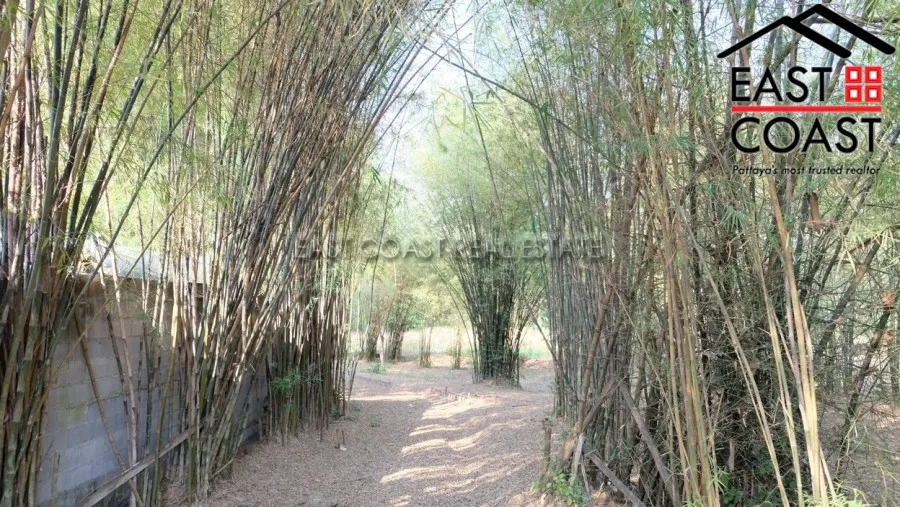Takien Tia photo 11