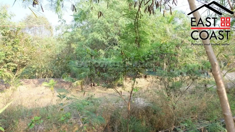 Takien Tia photo 4
