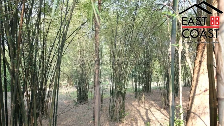 Takien Tia photo 9