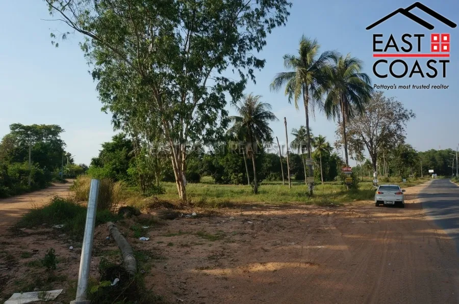 Nong Mai Kaen photo 10