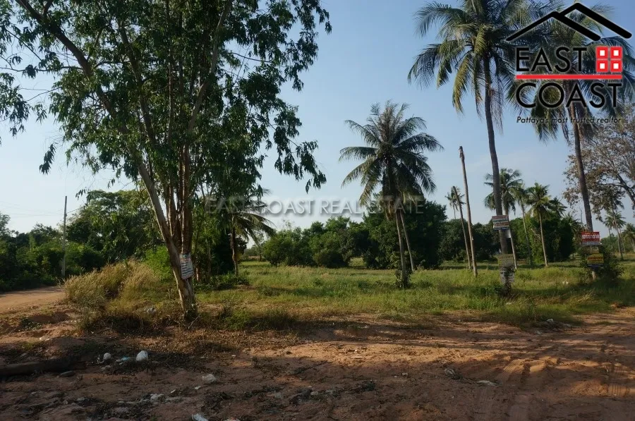 Nong Mai Kaen photo 9