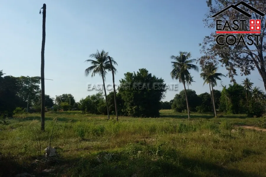 Nong Mai Kaen