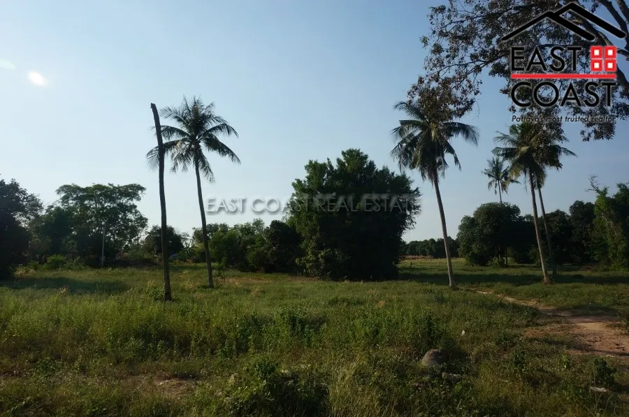 Nong Mai Kaen photo 8