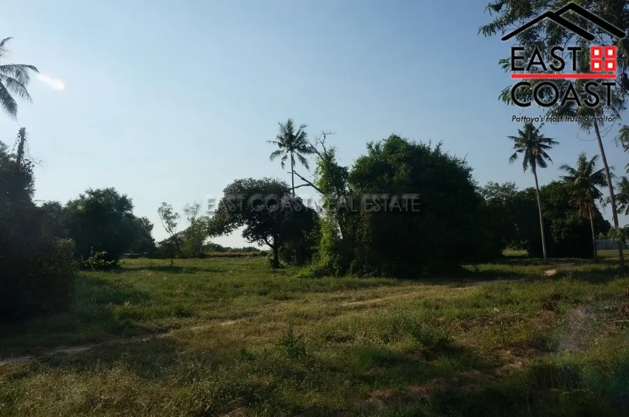 Nong Mai Kaen photo 6