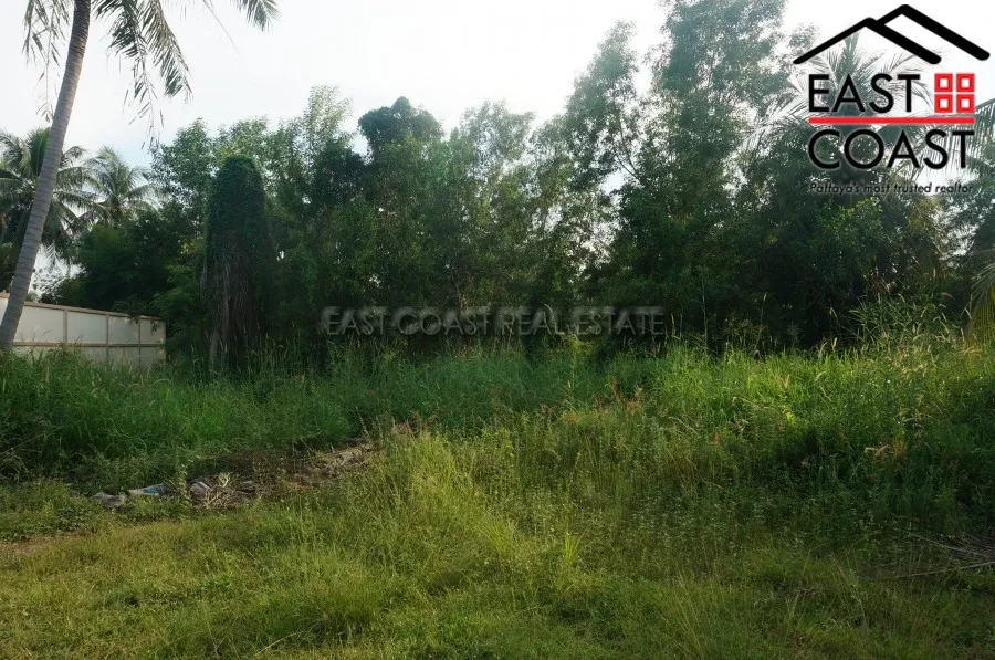 Nong Palai photo 6