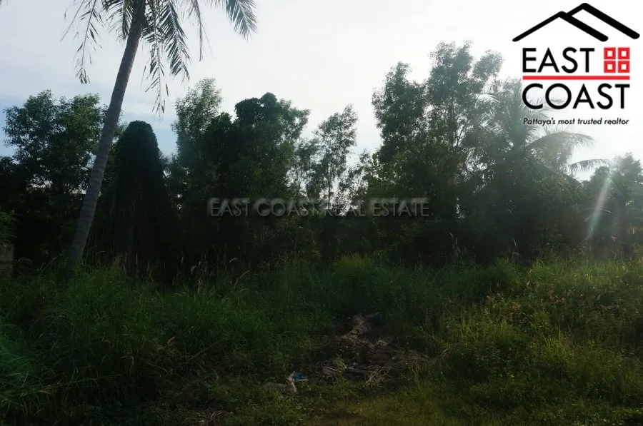 Nong Palai photo 5