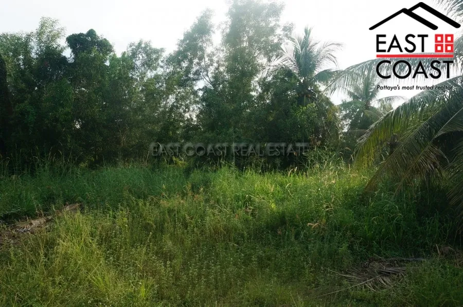 Nong Palai photo 3