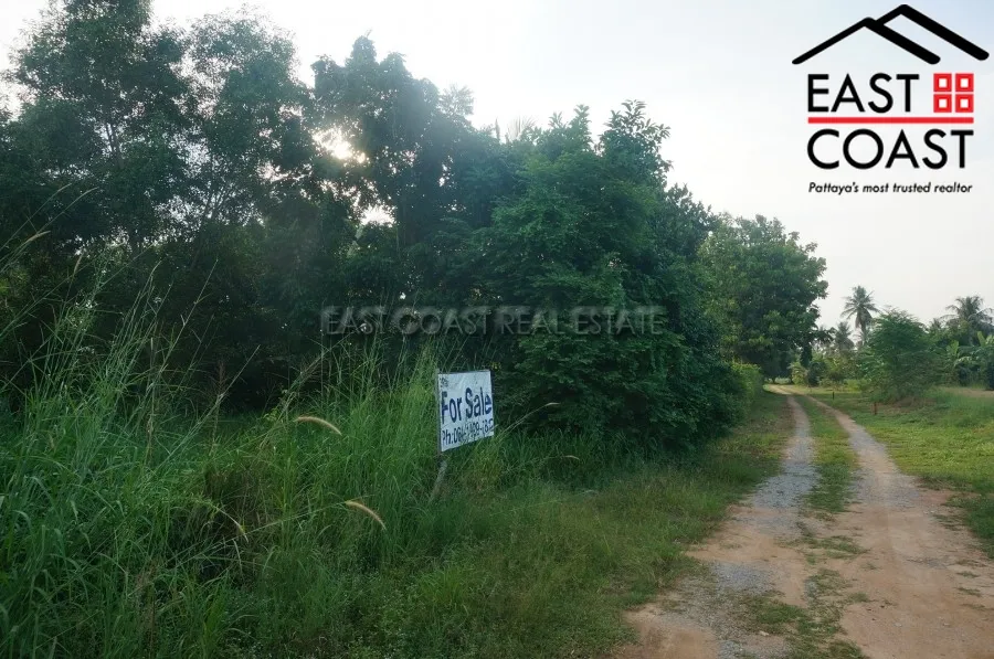 Nong Palai photo 10