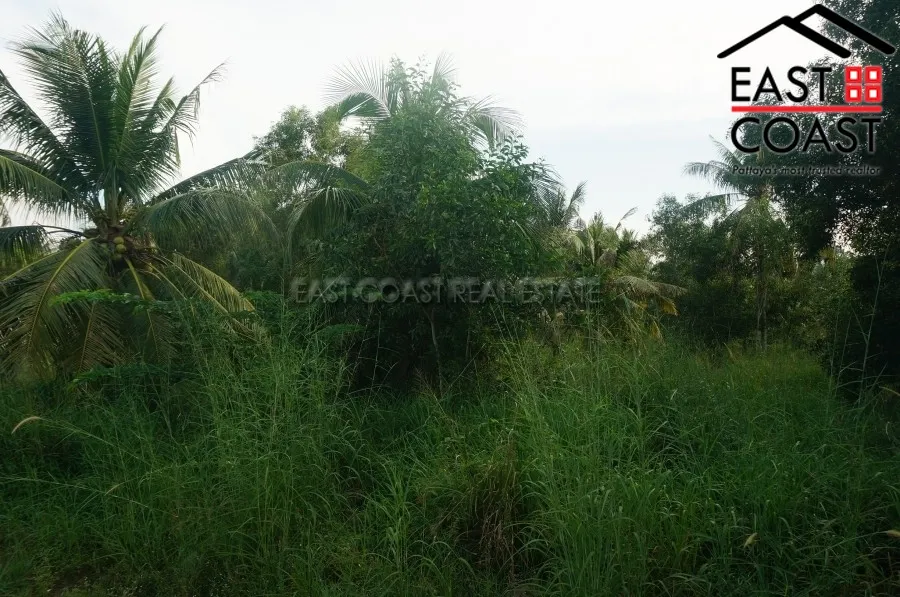 Nong Palai photo 4