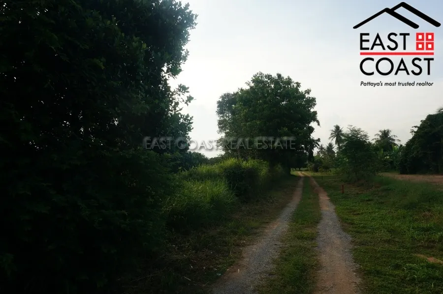 Nong Palai photo 7
