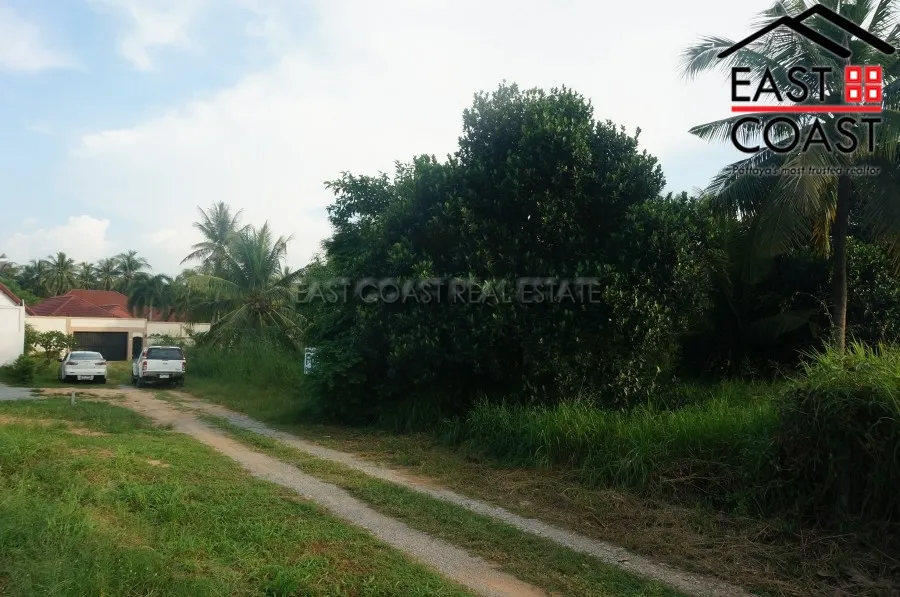 Nong Palai photo 9