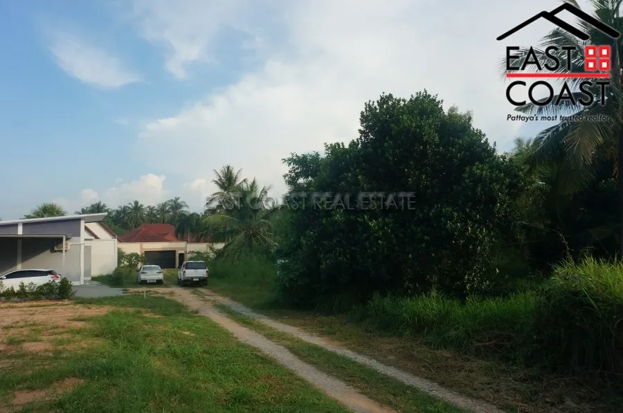 Nong Palai photo 8