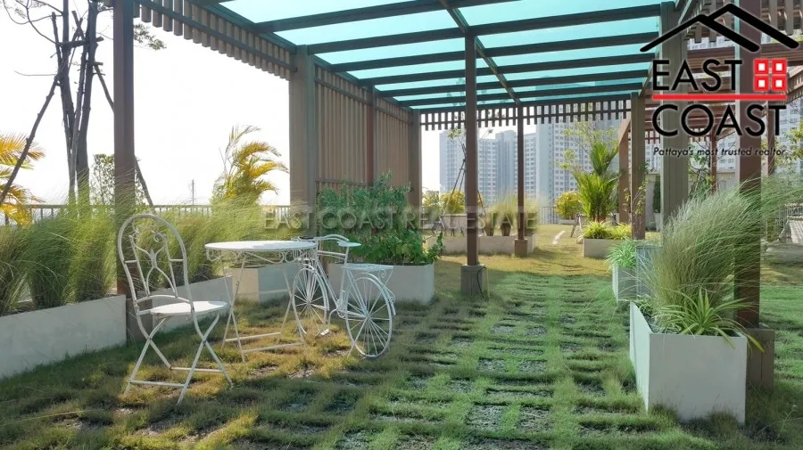 City Garden Tropicana photo 21