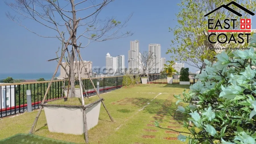 City Garden Tropicana photo 20