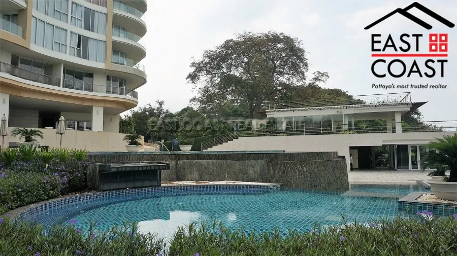 The Cove photo 42