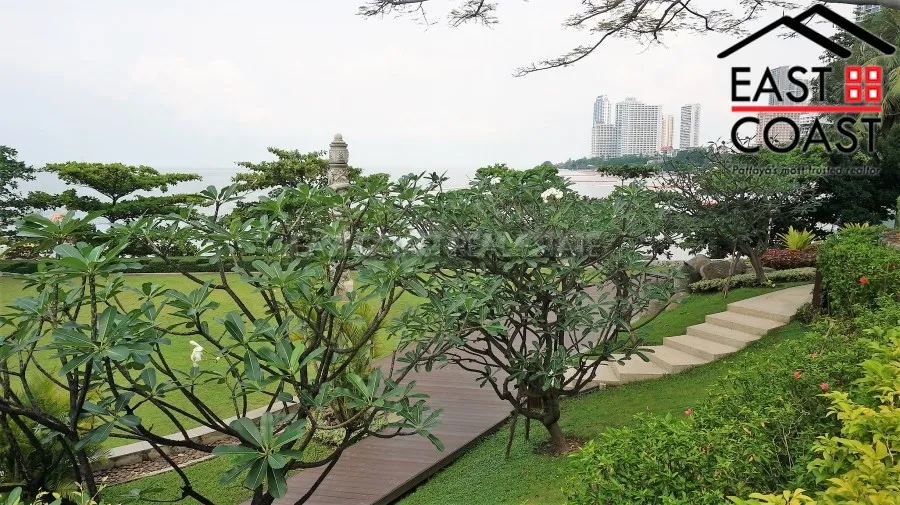 The Cove photo 47