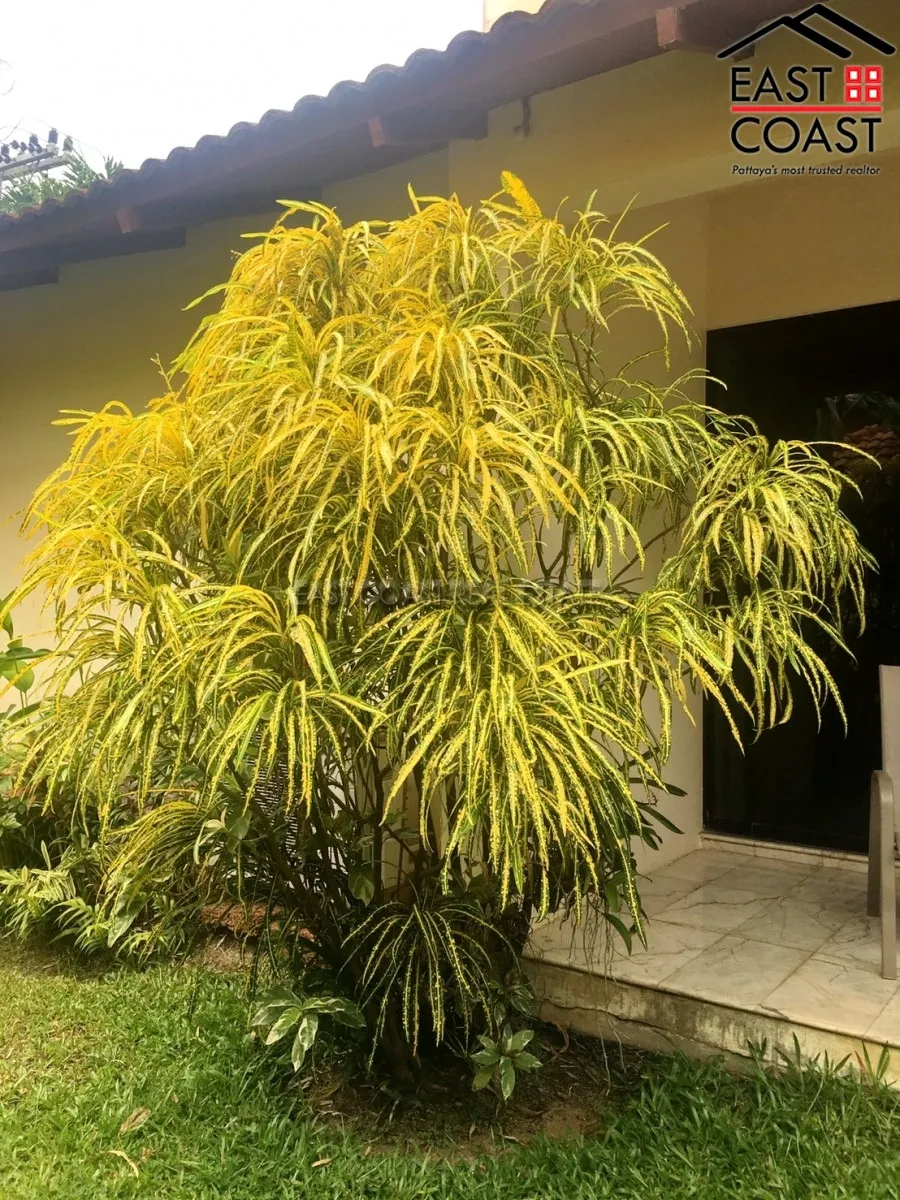 Paradise Villa 1 photo 19