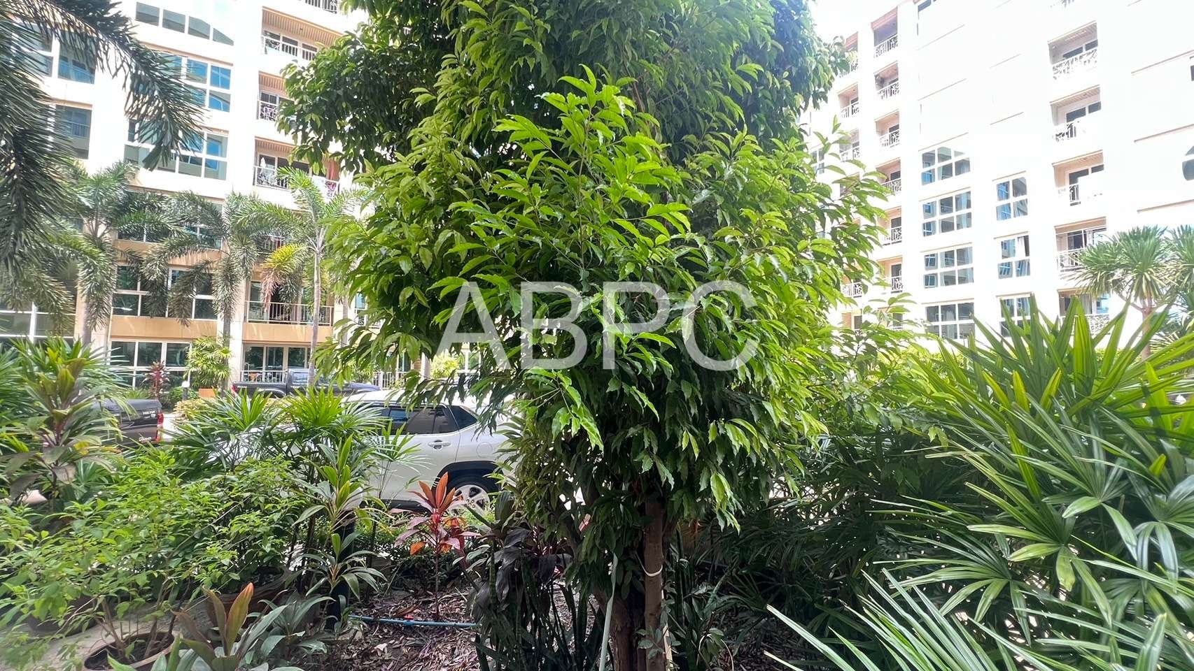 Ground floor 1 Bedroom 1 Bathroom in Central Pattaya photo 8