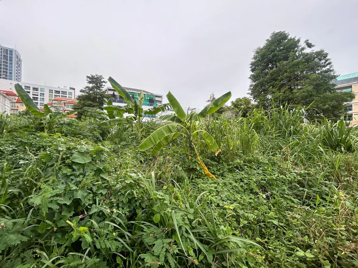 Just Over A rai of Beautiful Land For Sale In Pratumnak photo 14