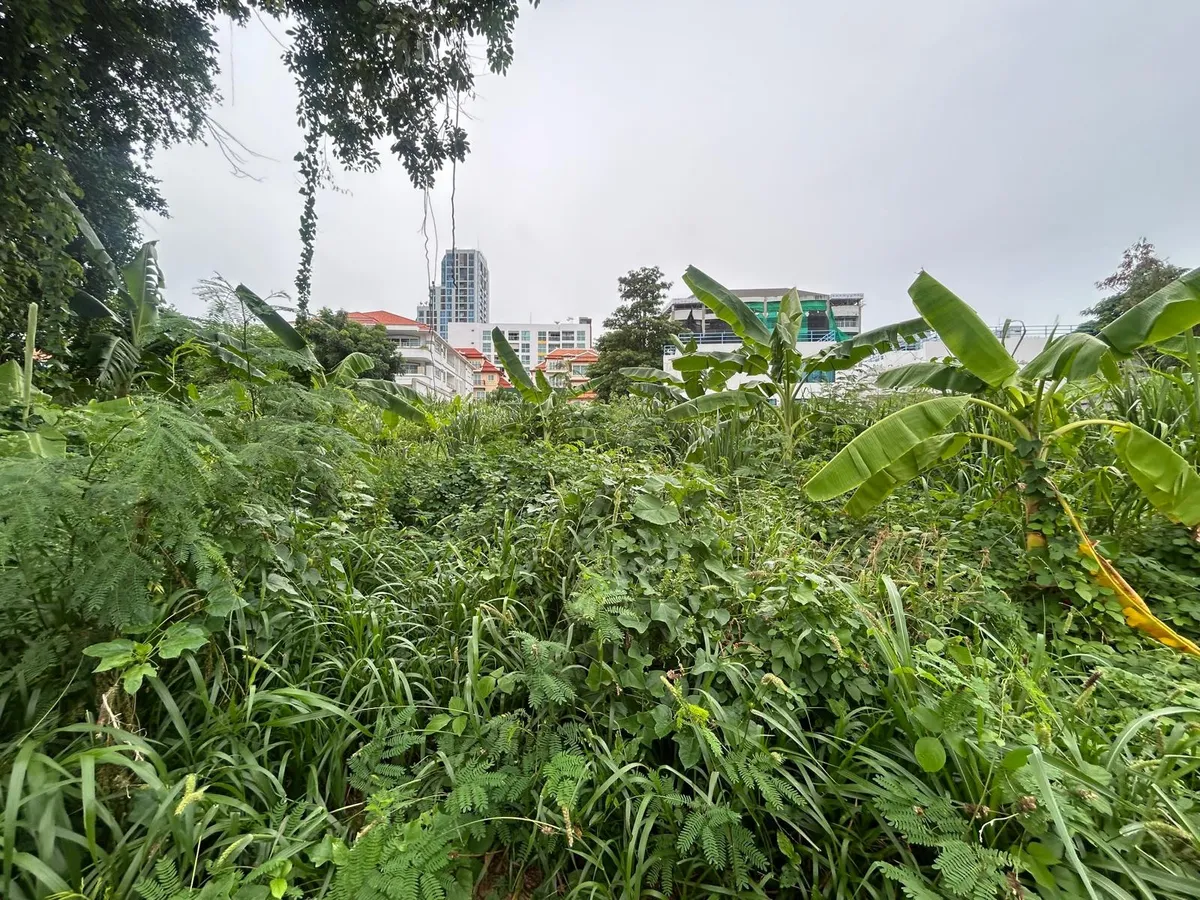 Just Over A rai of Beautiful Land For Sale In Pratumnak photo 17