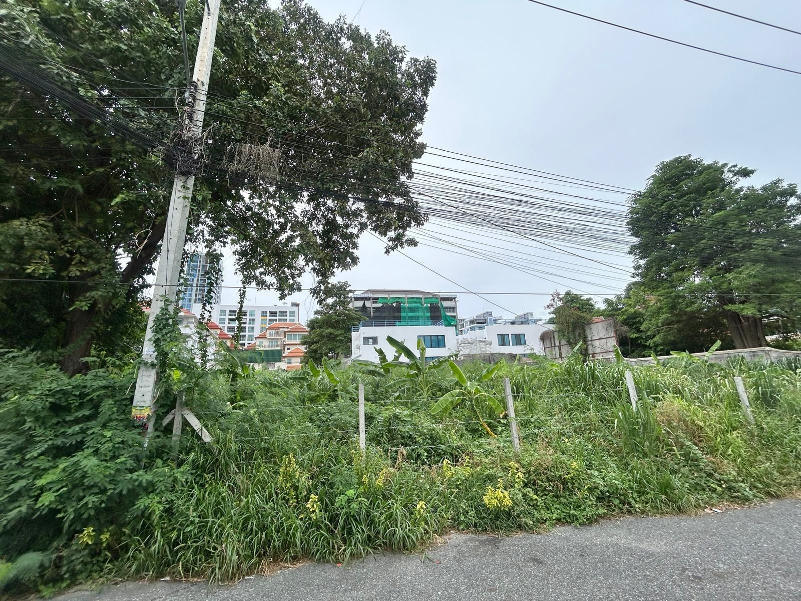 Just Over A rai of Beautiful Land For Sale In Pratumnak photo 18