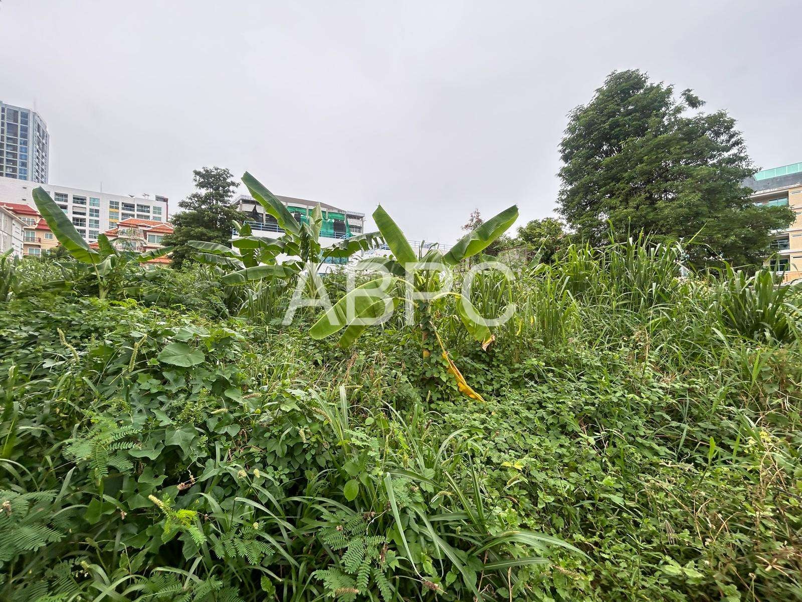 Just Over A rai of Beautiful Land For Sale In Pratumnak photo 9