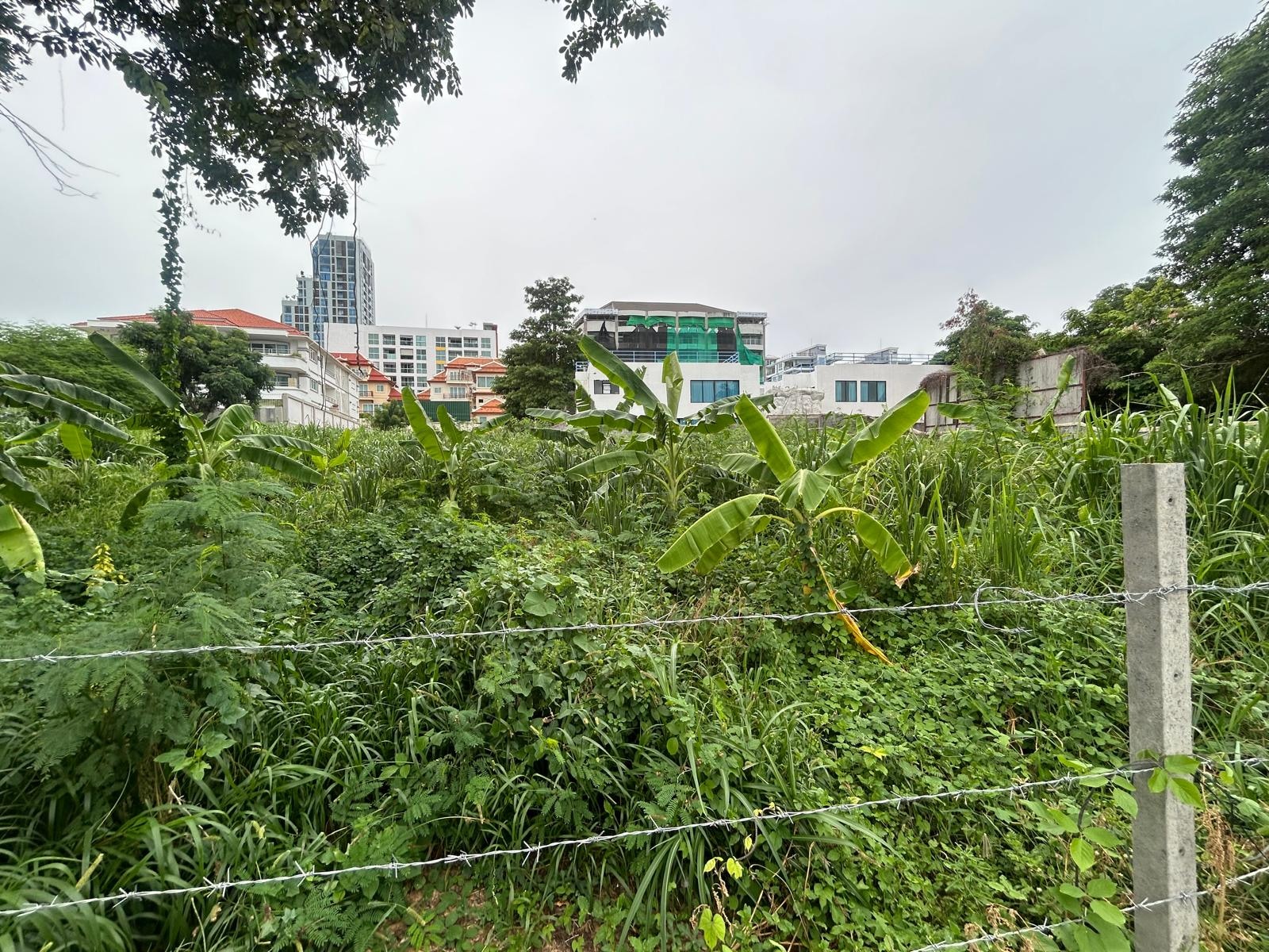 Just Over A rai of Beautiful Land For Sale In Pratumnak photo 15
