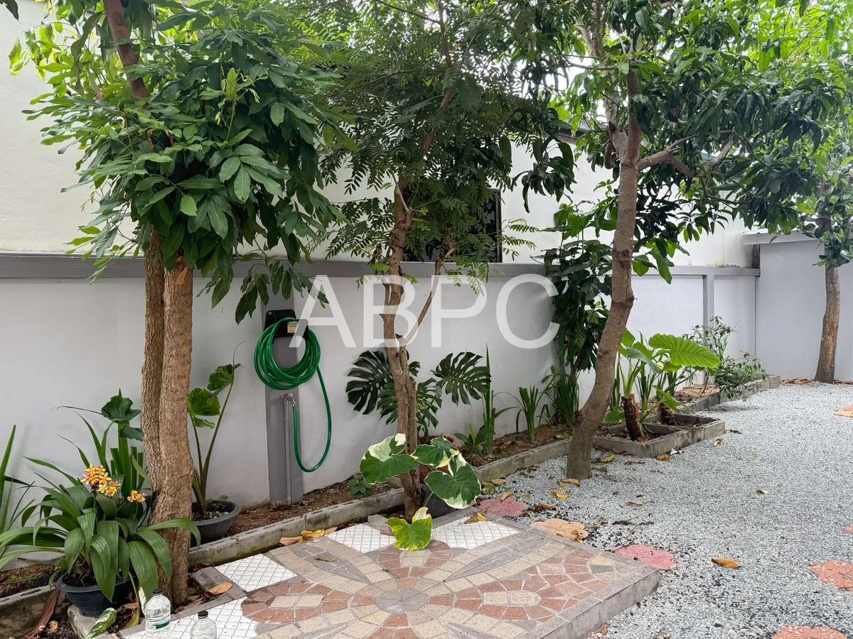 House for rent photo 13