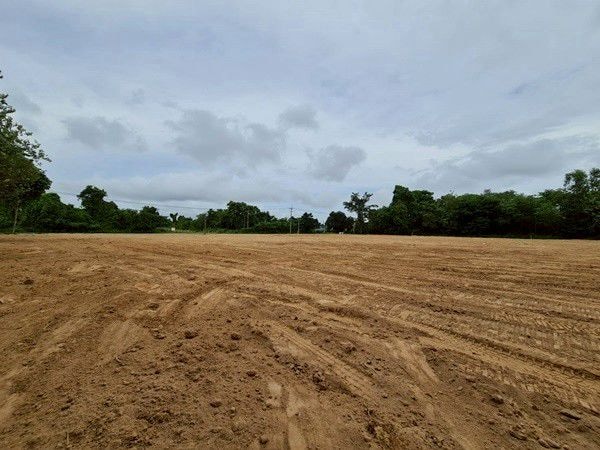 Land For Sale Near Nongnuch tropical Garden photo 15