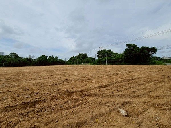 Land For Sale Near Nongnuch tropical Garden photo 14