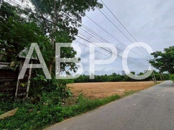 Land For Sale Near Nongnuch tropical Garden photo 3