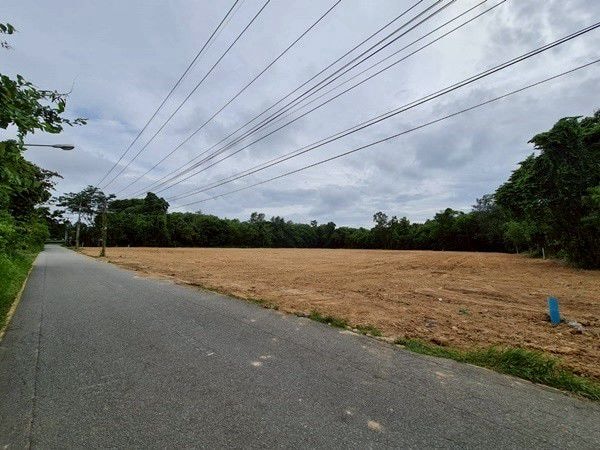 Land For Sale Near Nongnuch tropical Garden photo 12