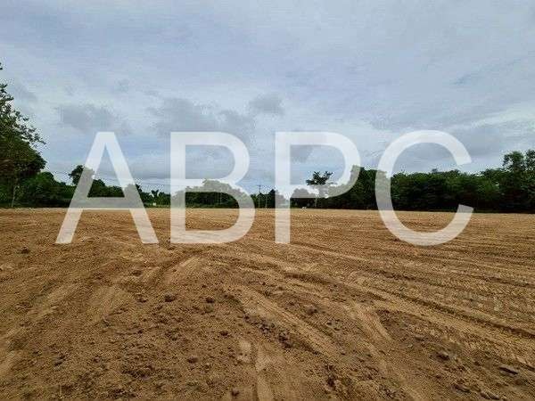 Land For Sale Near Nongnuch tropical Garden photo 8