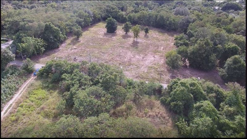 Land For Sale Near Nongnuch tropical Garden photo 10