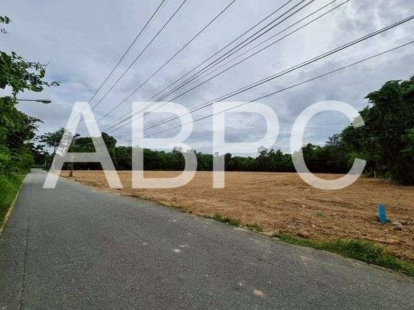 Land For Sale Near Nongnuch tropical Garden photo 7